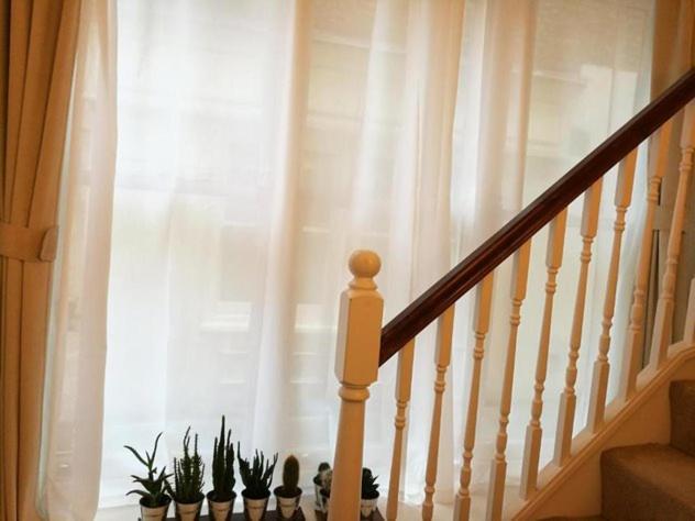 Lovet Homestay London Eksteriør billede